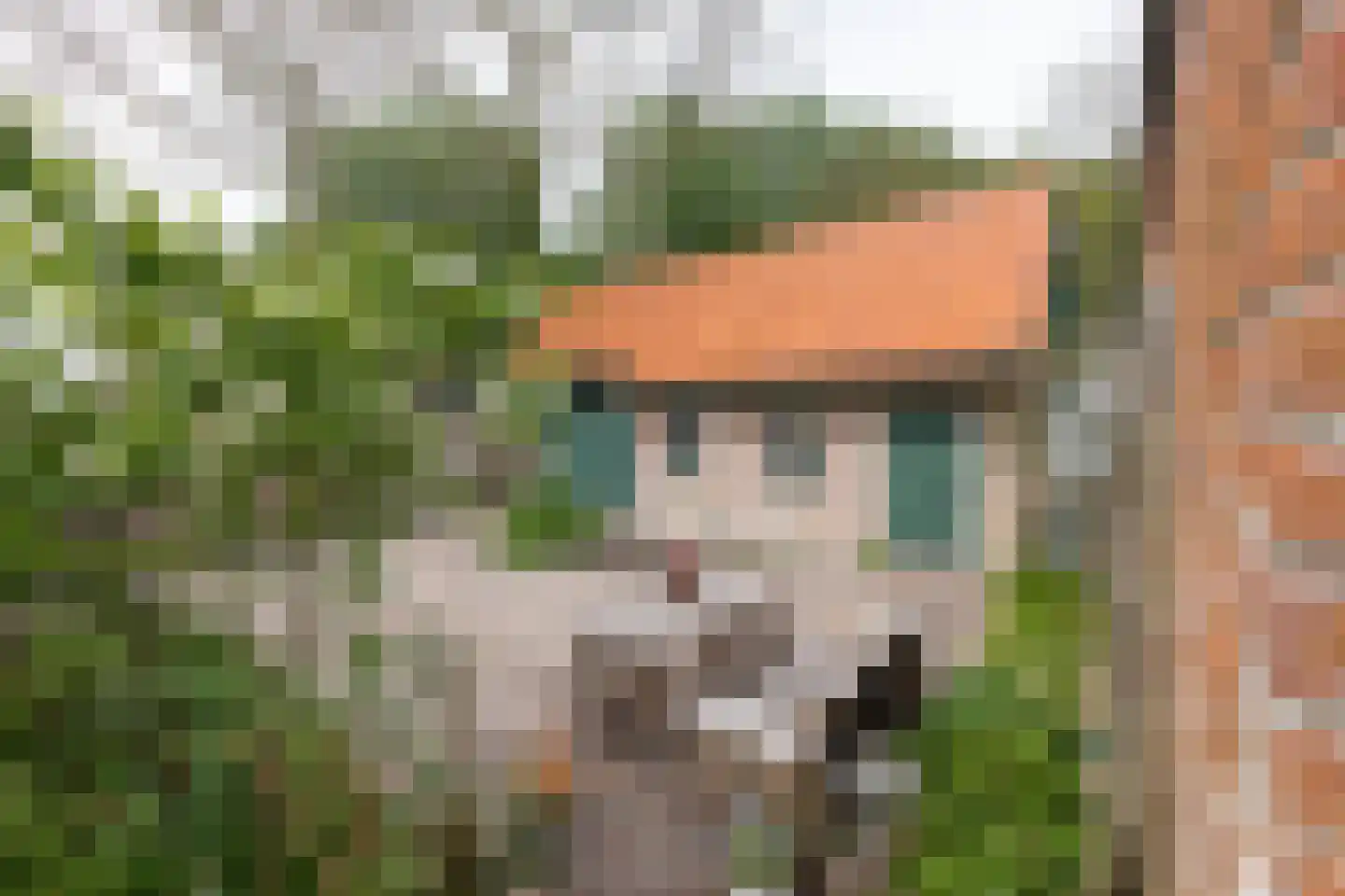 Van Hottingawei 8 Pietersbierum thumbnail 26