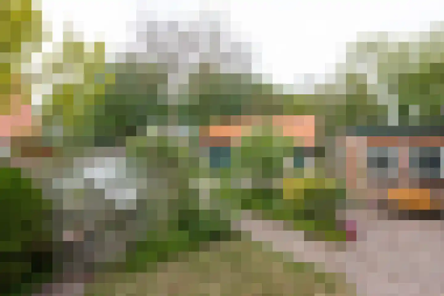 Van Hottingawei 8 Pietersbierum thumbnail 27