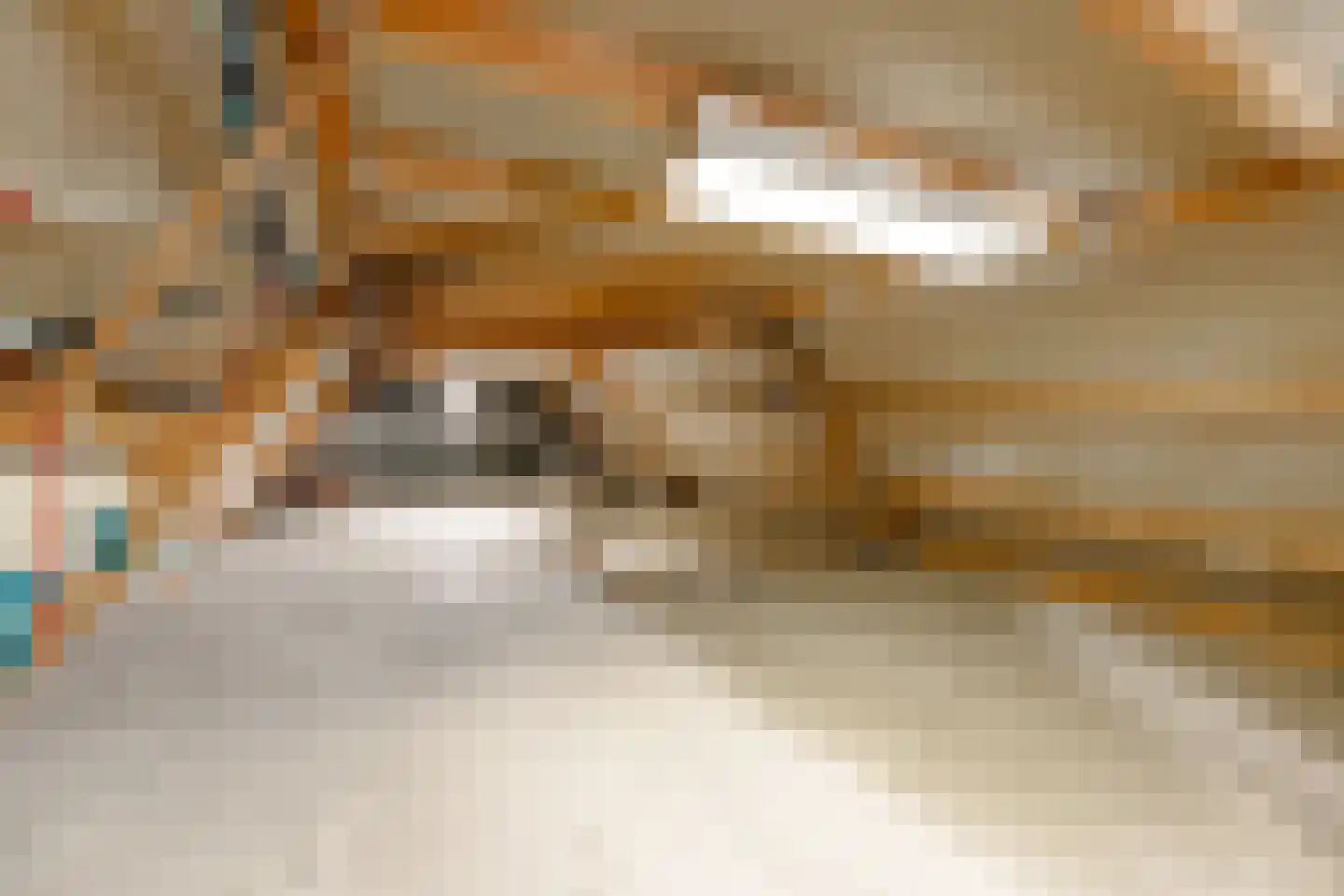 Van Hottingawei 8 Pietersbierum thumbnail 29