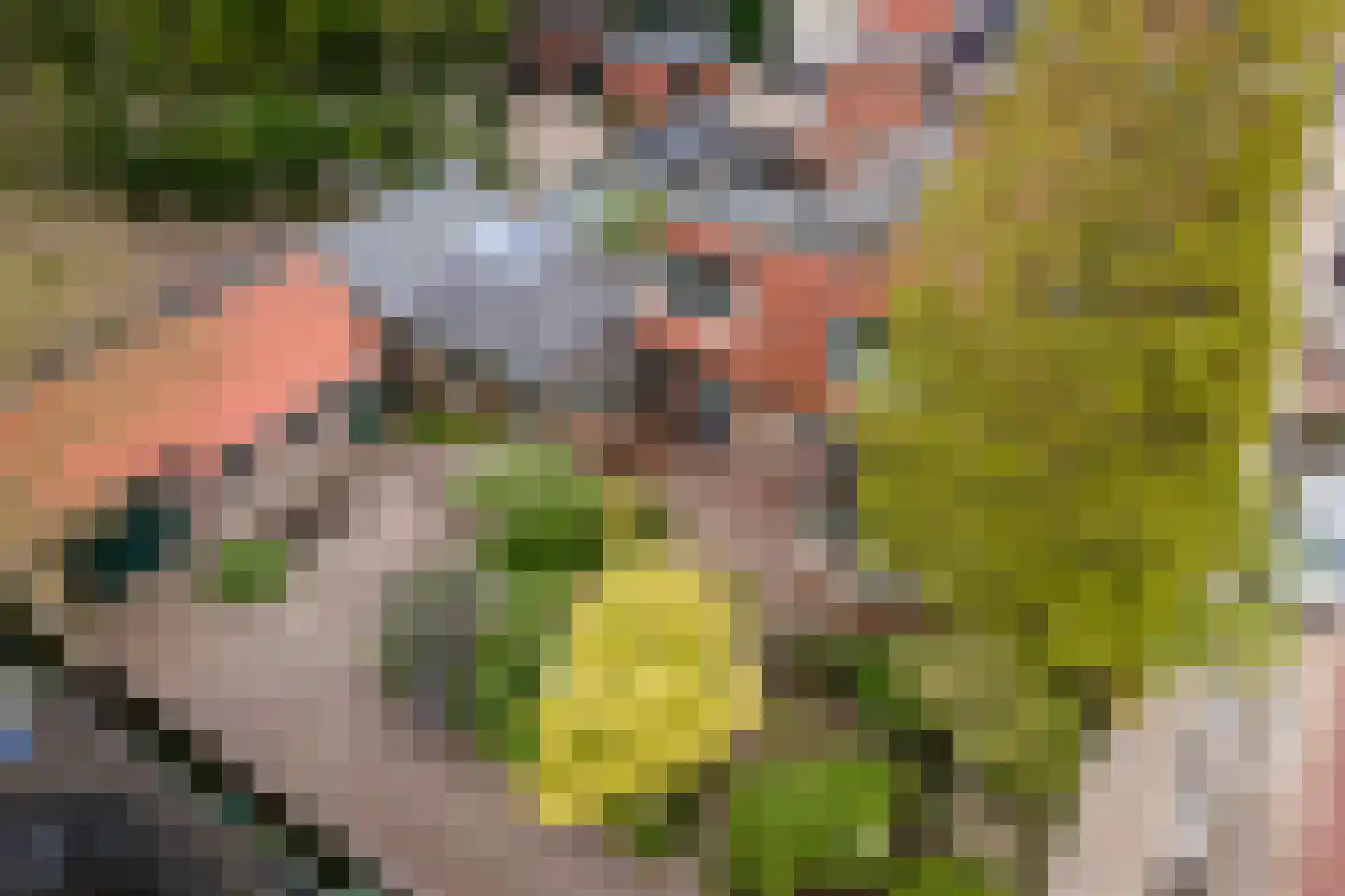 Van Hottingawei 8 Pietersbierum thumbnail 31
