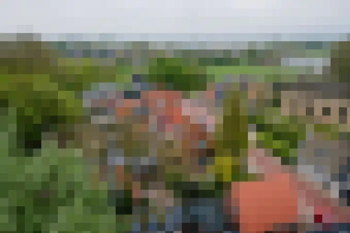 Van Hottingawei 8 Pietersbierum thumbnail 32