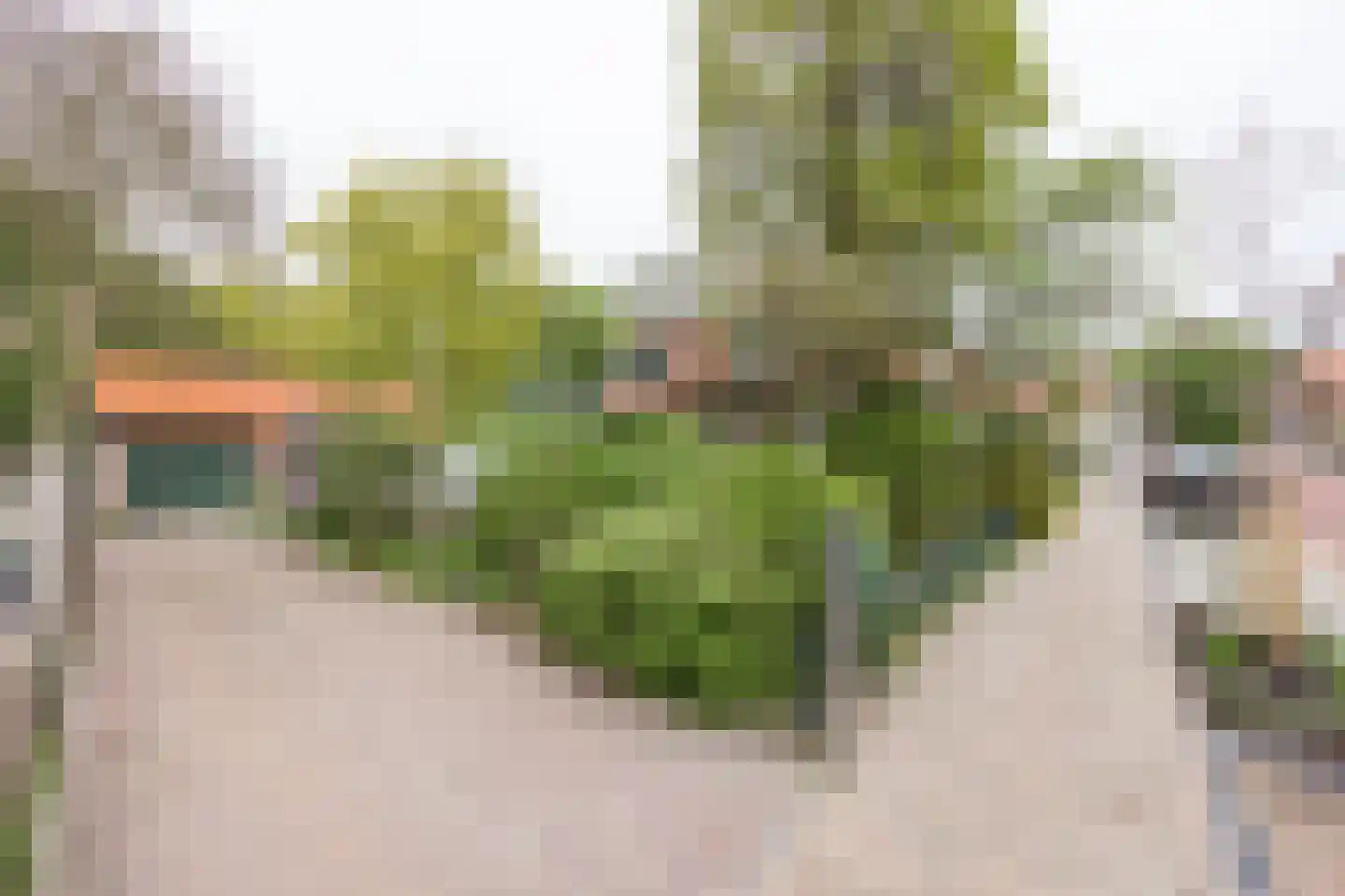 Van Hottingawei 8 Pietersbierum thumbnail 5
