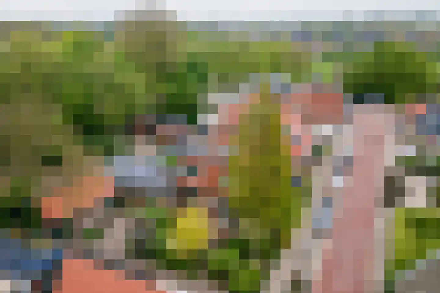 Van Hottingawei 8 Pietersbierum thumbnail 6