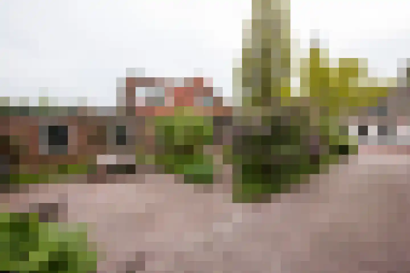Van Hottingawei 8 Pietersbierum thumbnail 7