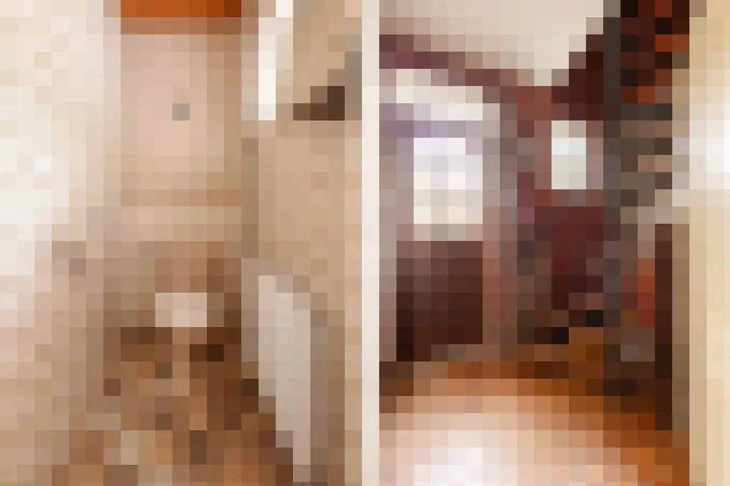 Van Hottingawei 8 Pietersbierum thumbnail 8