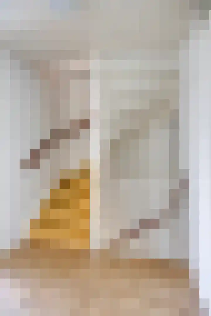 van Houdringelaan 10 Oegstgeest thumbnail 22