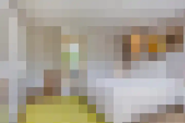 van Houdringelaan 10 Oegstgeest thumbnail 25