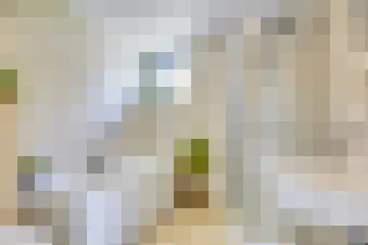 van Houdringelaan 10 Oegstgeest thumbnail 26