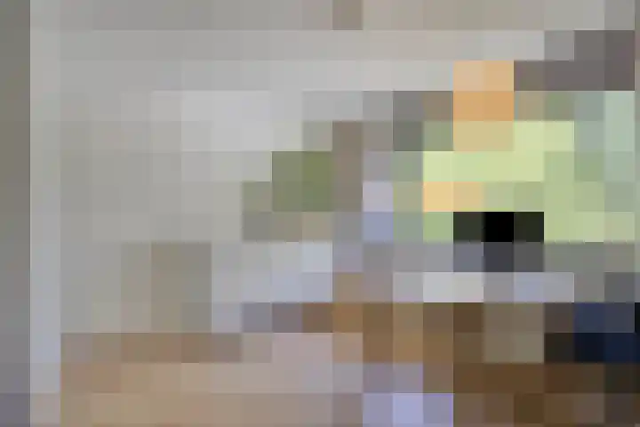 van Houdringelaan 10 Oegstgeest thumbnail 32