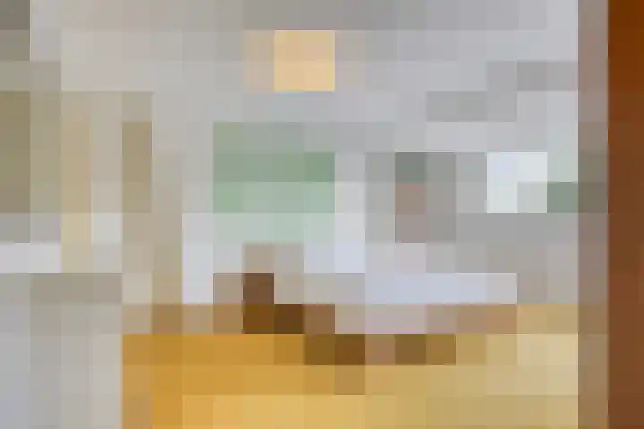 van Houdringelaan 10 Oegstgeest thumbnail 41