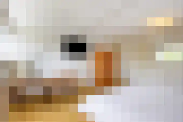van Houdringelaan 10 Oegstgeest thumbnail 42