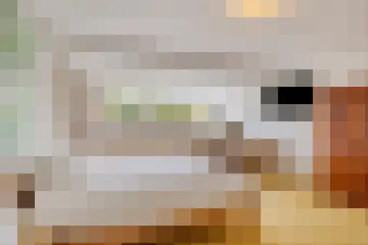 van Houdringelaan 10 Oegstgeest thumbnail 43