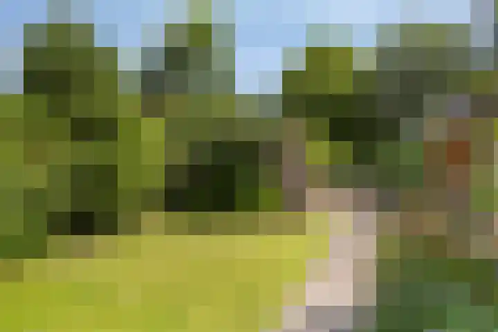 van Houdringelaan 10 Oegstgeest thumbnail 49