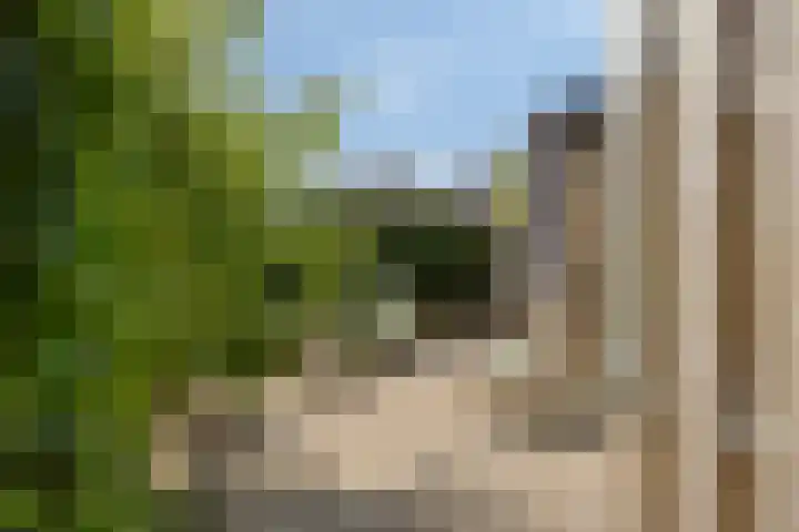 van Houdringelaan 10 Oegstgeest thumbnail 50