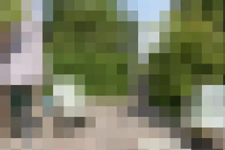 van Houdringelaan 10 Oegstgeest thumbnail 51