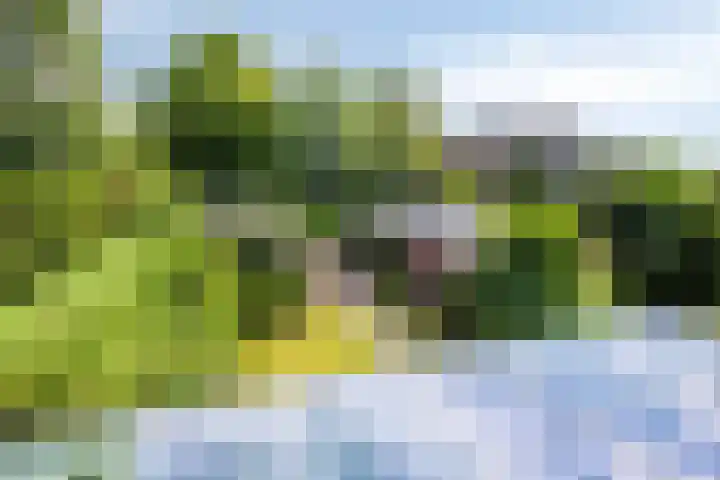 van Houdringelaan 10 Oegstgeest thumbnail 56