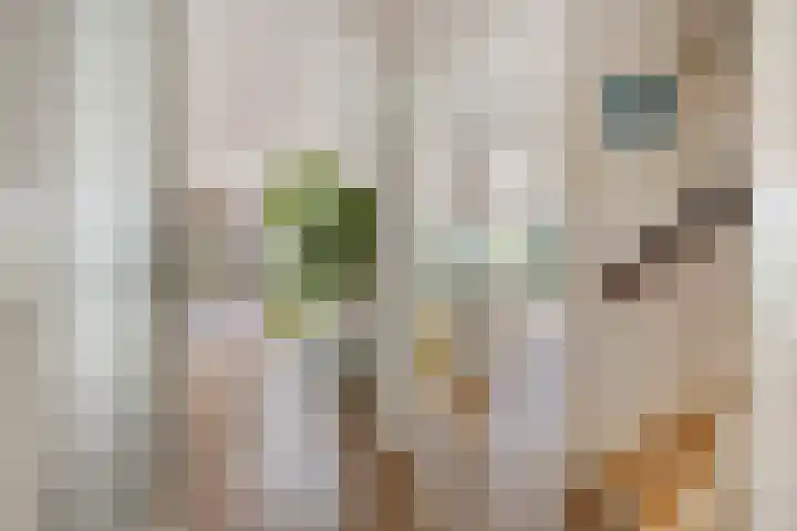 van Houdringelaan 10 Oegstgeest thumbnail 6