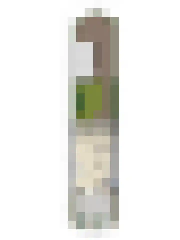 van Houdringelaan 10 Oegstgeest thumbnail 60