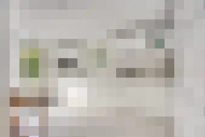 van Houdringelaan 18 Oegstgeest thumbnail 11