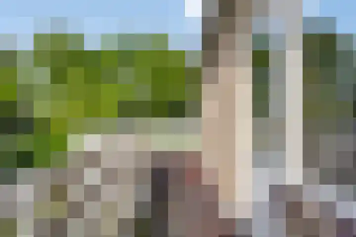 van Houdringelaan 18 Oegstgeest thumbnail 16