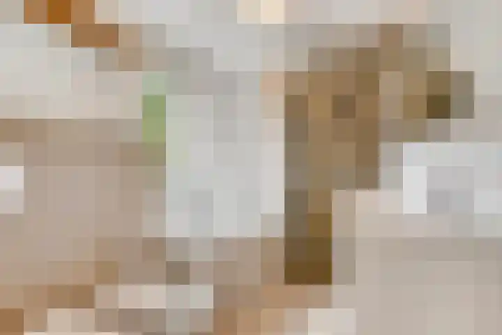 van Houdringelaan 18 Oegstgeest thumbnail 17