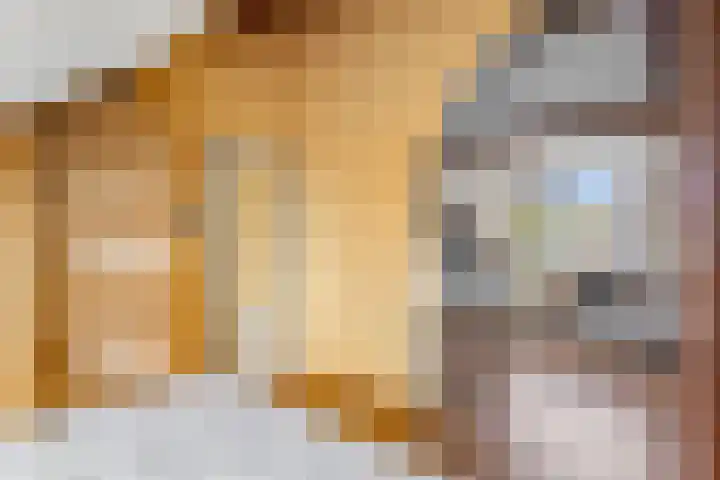 van Houdringelaan 18 Oegstgeest thumbnail 25