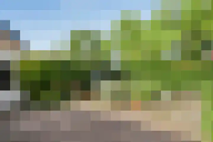 van Houdringelaan 18 Oegstgeest thumbnail 28