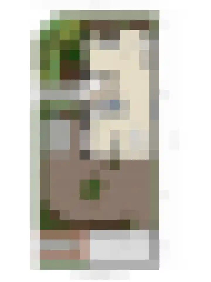van Houdringelaan 18 Oegstgeest thumbnail 39