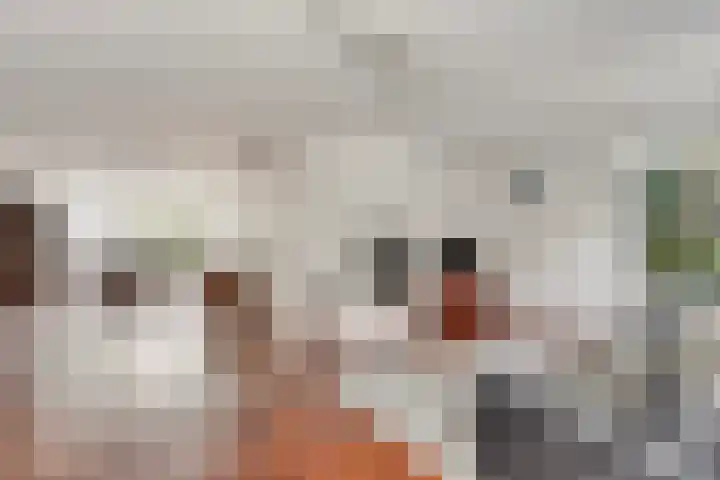 van Houdringelaan 18 Oegstgeest thumbnail 5