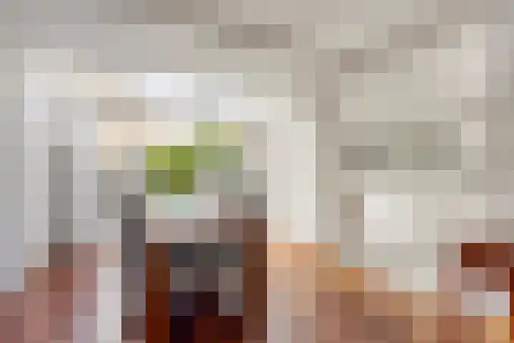 van Houdringelaan 18 Oegstgeest thumbnail 9