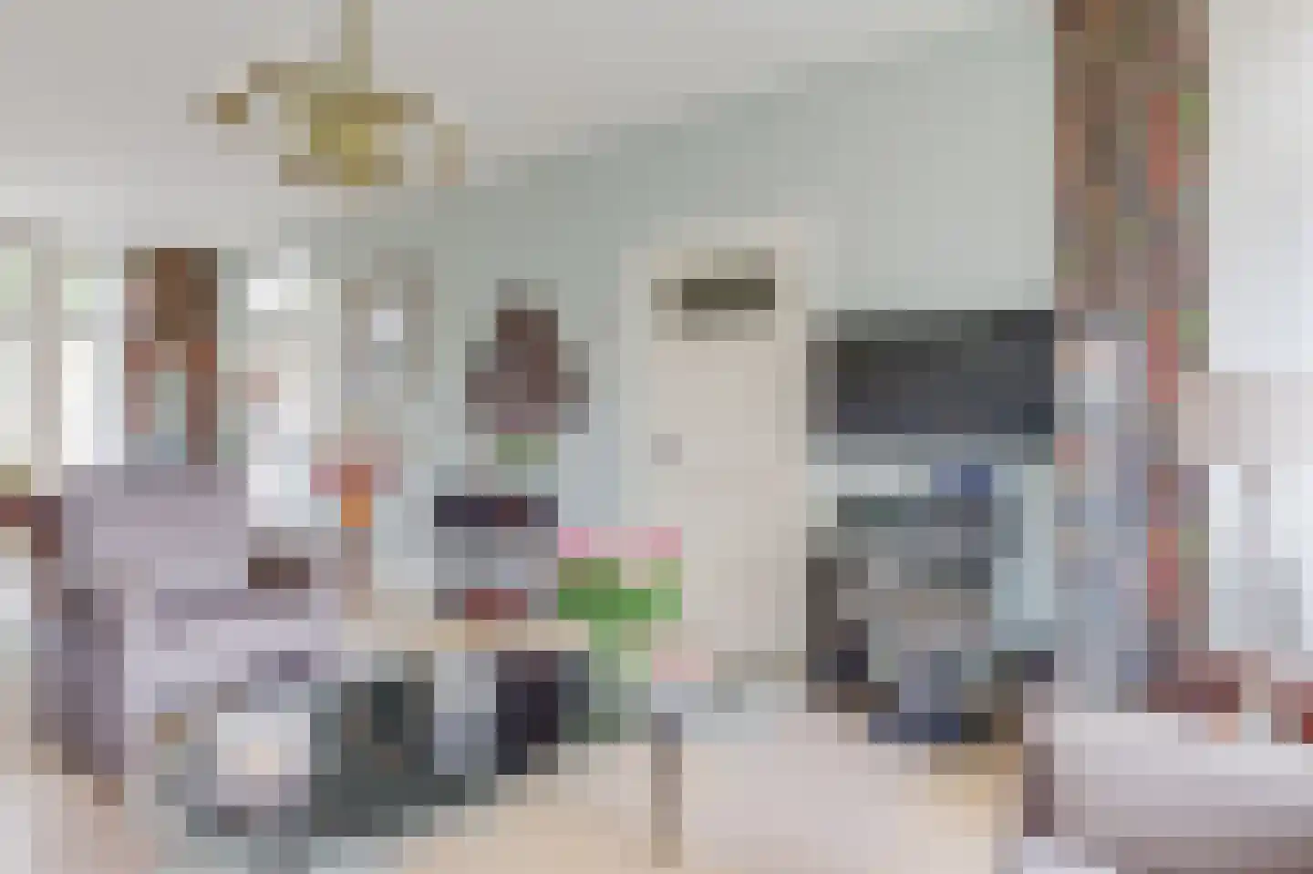 Van Houtenkade 16 Alkmaar thumbnail 12