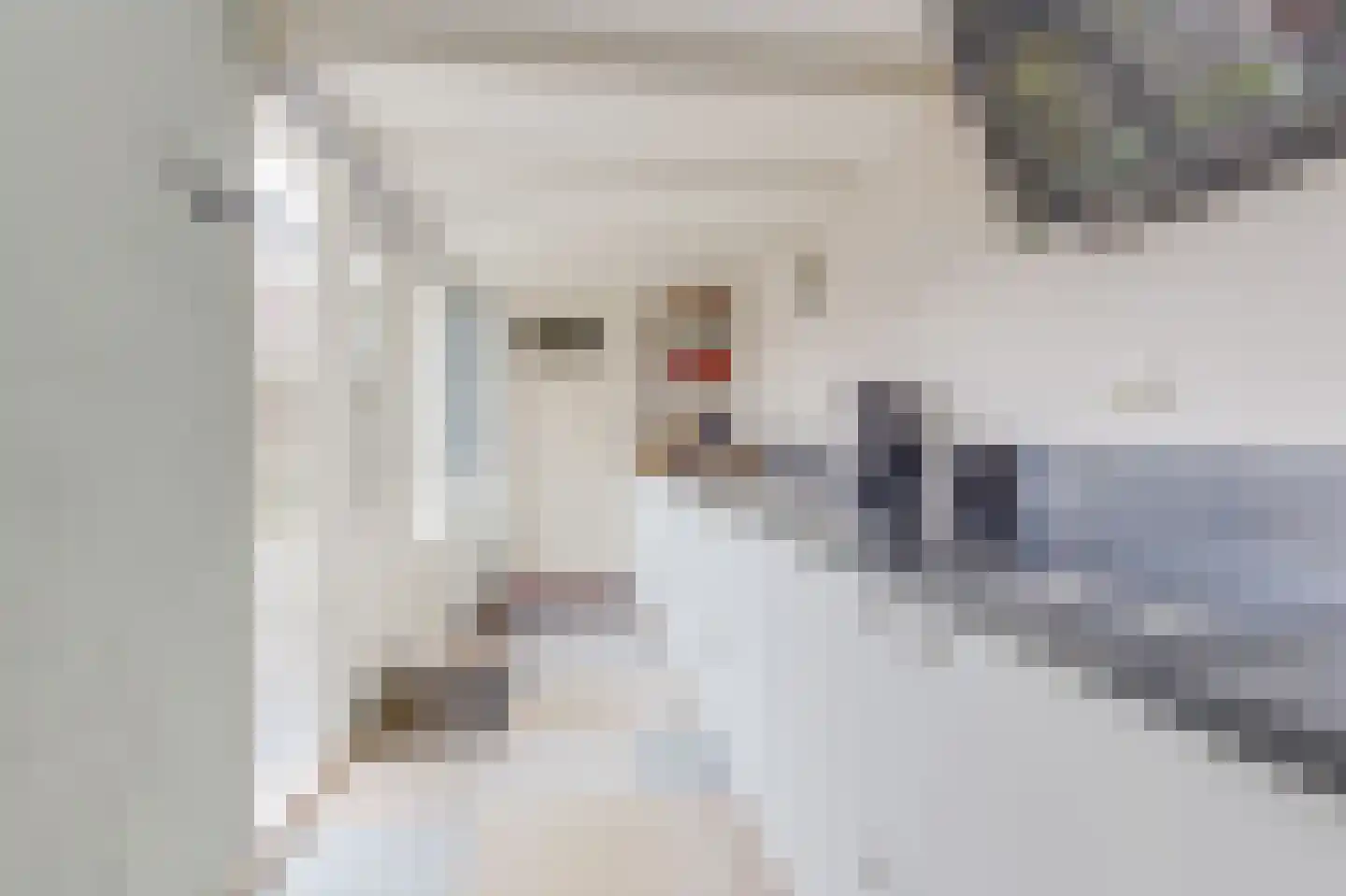 Van Houtenkade 16 Alkmaar thumbnail 19