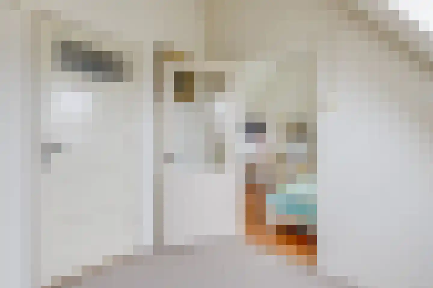 Van Houtenkade 16 Alkmaar thumbnail 35