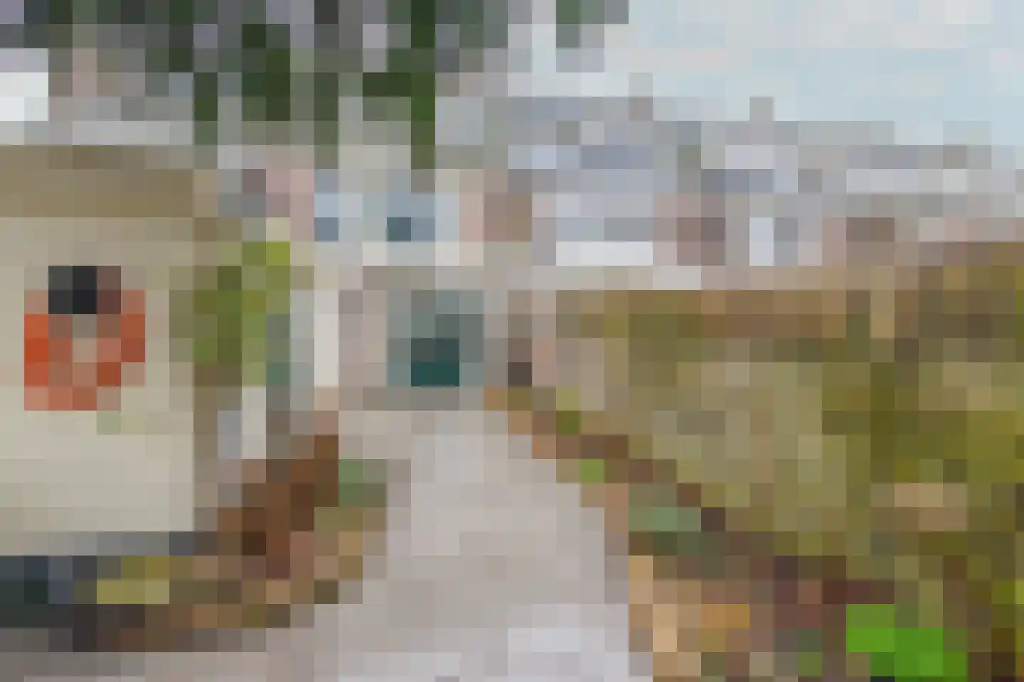 Van Houtenkade 16 Alkmaar thumbnail 47