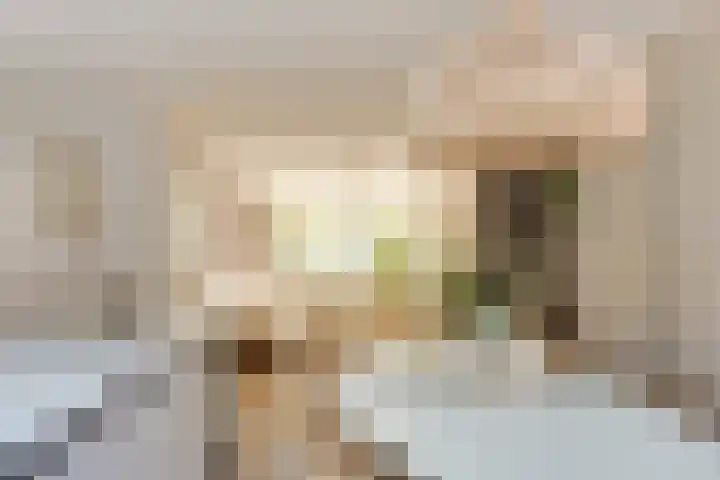 Van Houtenkade 38 Alkmaar thumbnail 17