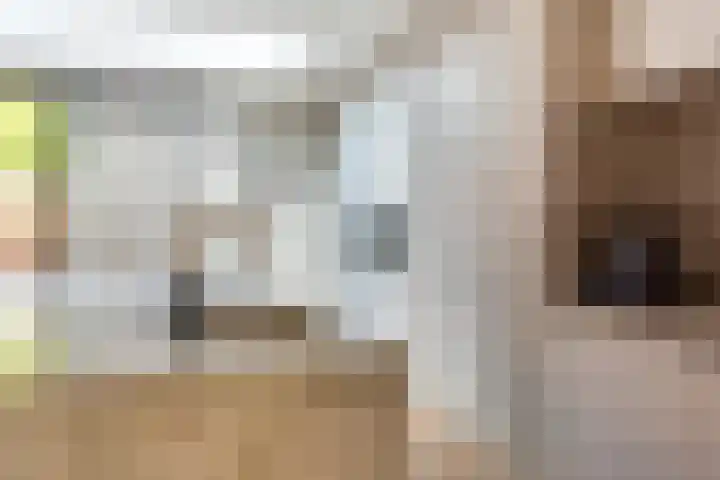 Van Houtenkade 38 Alkmaar thumbnail 22