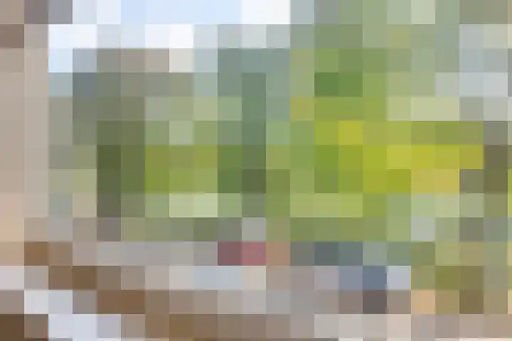 Van Houtenkade 38 Alkmaar thumbnail 31