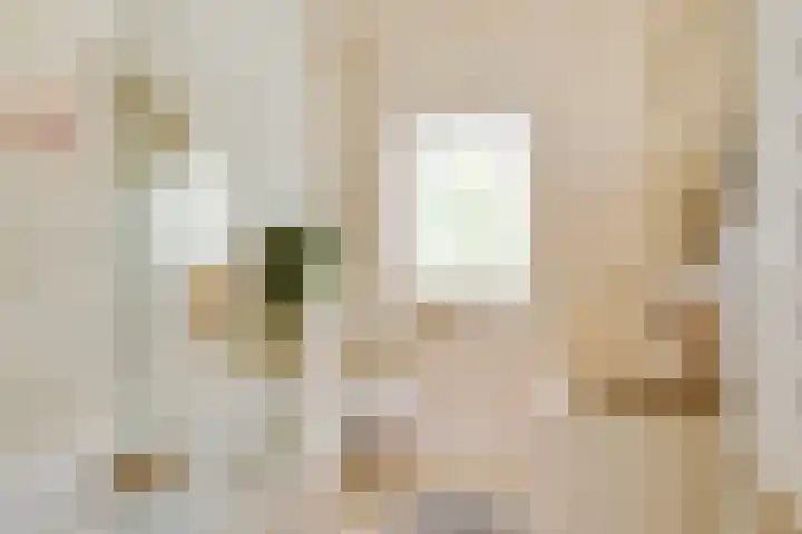 Van Houtenkade 38 Alkmaar thumbnail 34