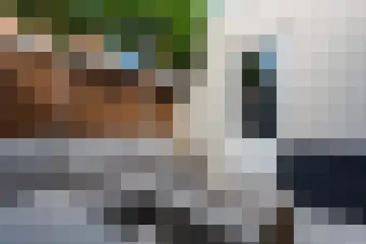 Van Houtenkade 38 Alkmaar thumbnail 44