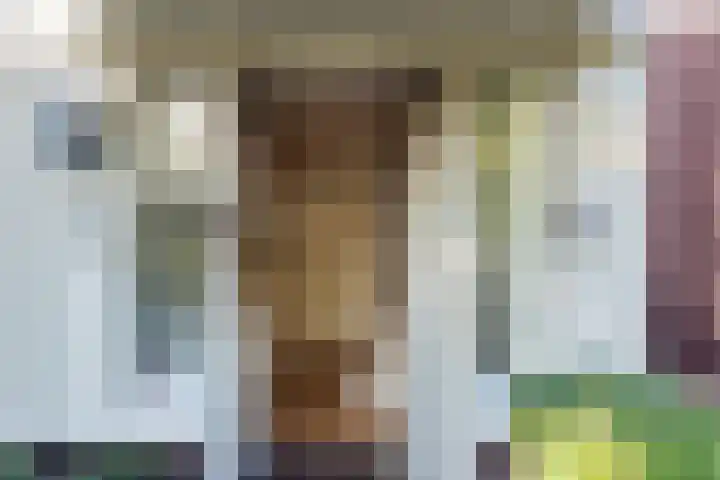 Van Houtenkade 38 Alkmaar thumbnail 5