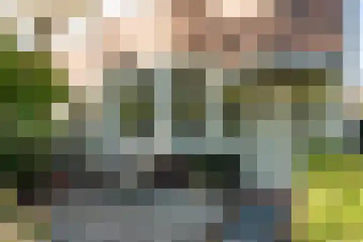 Van Houtenkade 38 Alkmaar thumbnail 50