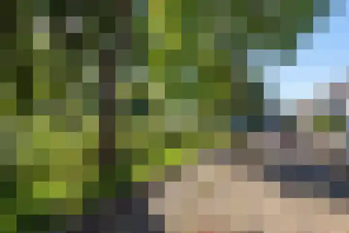 Van Houtenkade 38 Alkmaar thumbnail 51