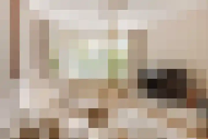 Van Houtenkade 38 Alkmaar thumbnail 7