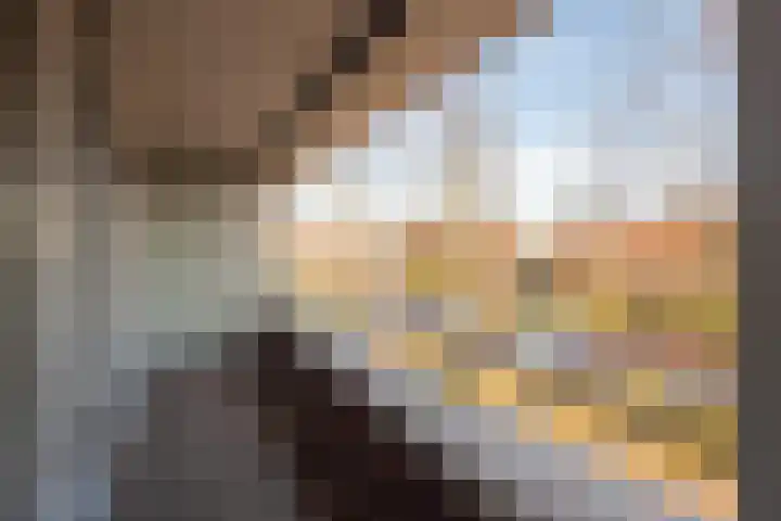 Van Houtenkade 4 B Alkmaar thumbnail 23