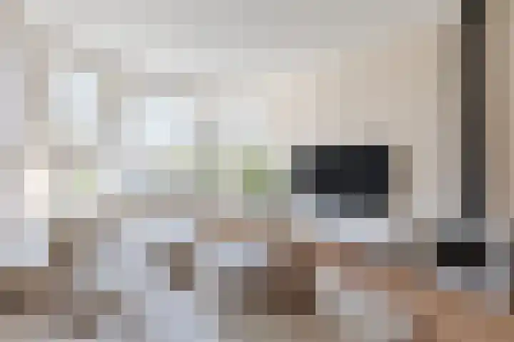 Van Houtenkade 42 Alkmaar thumbnail 13