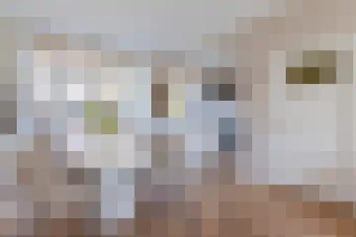 Van Houtenkade 42 Alkmaar thumbnail 14