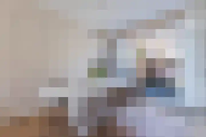 Van Houtenkade 42 Alkmaar thumbnail 15