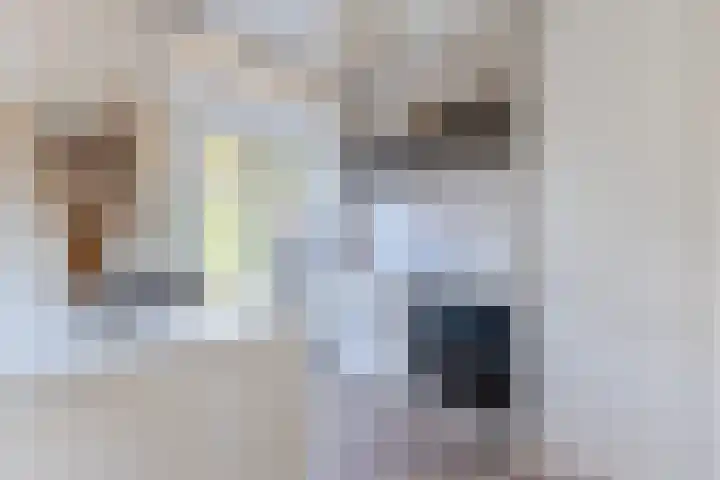 Van Houtenkade 42 Alkmaar thumbnail 17