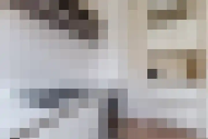 Van Houtenkade 42 Alkmaar thumbnail 18