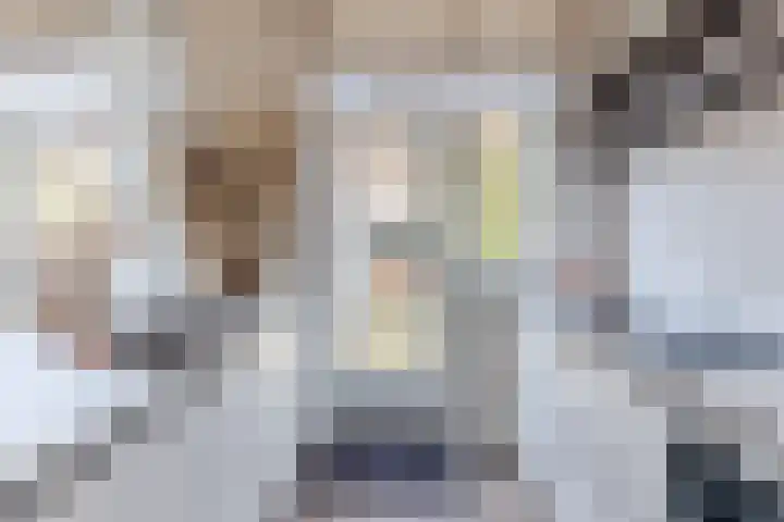 Van Houtenkade 42 Alkmaar thumbnail 19